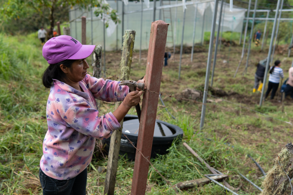 Proyecto de vinculación CIMA UTPL - CRECE viveros agroforestales en Loja Sabanilla